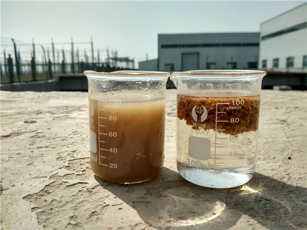 聚丙烯酰胺是助凝劑嗎？